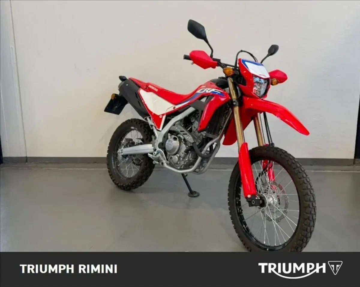 Honda CRF 300L (2021 - 24) (3)