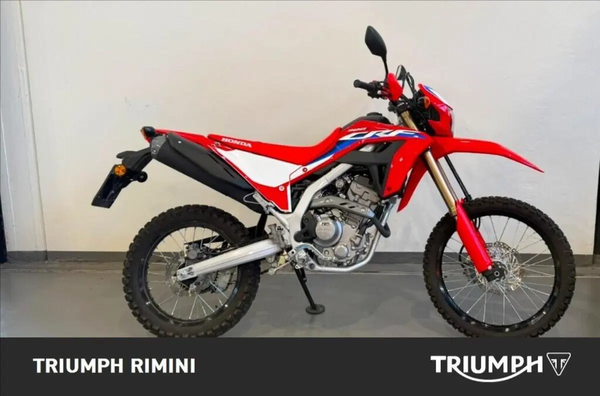Honda CRF 300L (2021 - 24) (4)