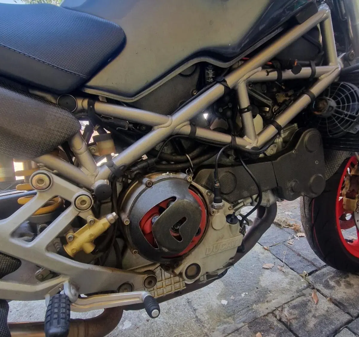 Ducati Monster S4 (2001 - 03) (3)