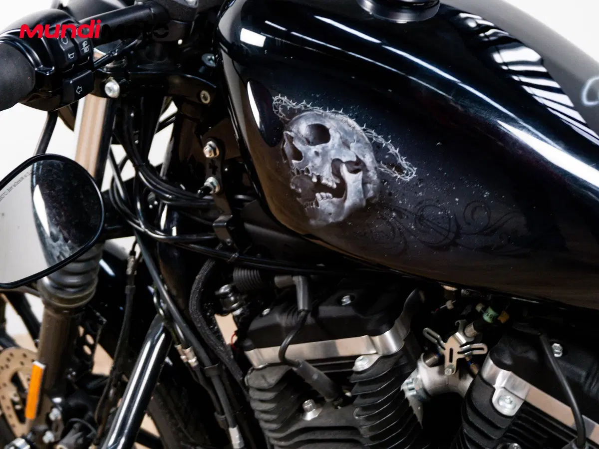 Harley-Davidson 883 Iron (2009 - 11) - XL 883N (19)
