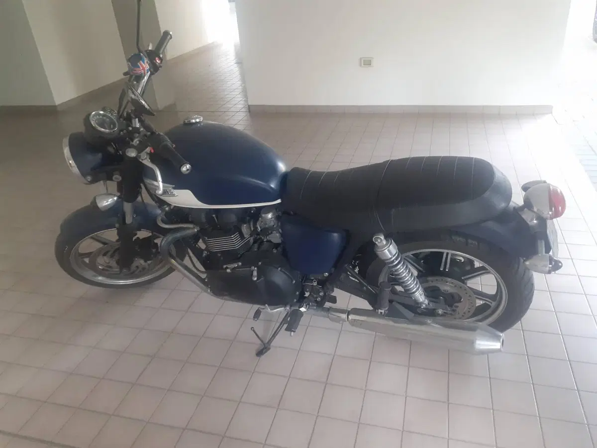 Triumph Bonneville SE (2009 - 13) (3)