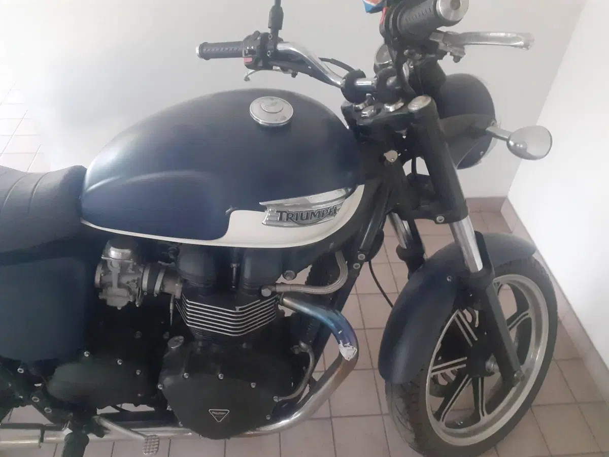 Triumph Bonneville SE (2009 - 13) (8)