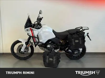 Ducati DesertX (2022 - 25) usata