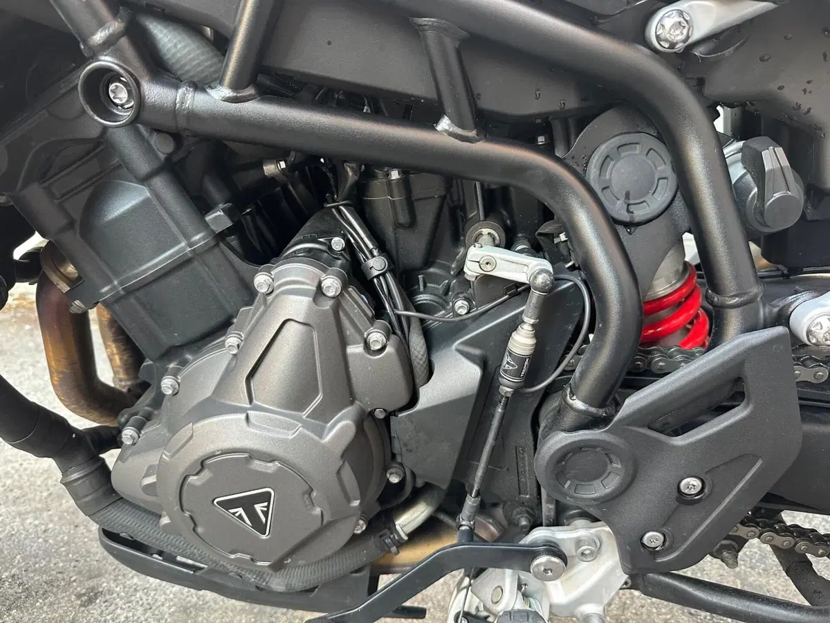 Triumph Tiger 900 GT Pro (2020 - 23) (10)