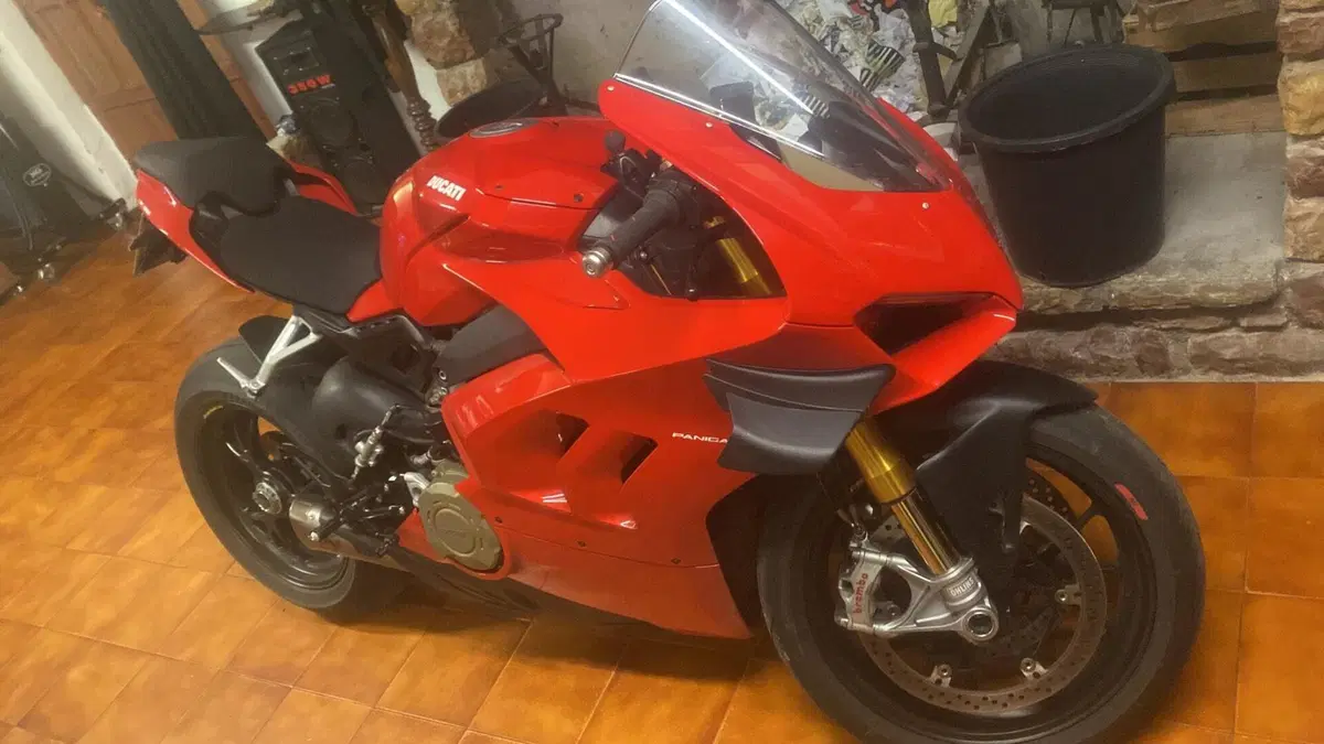 Ducati Panigale V4 S 1100 (2021) (4)