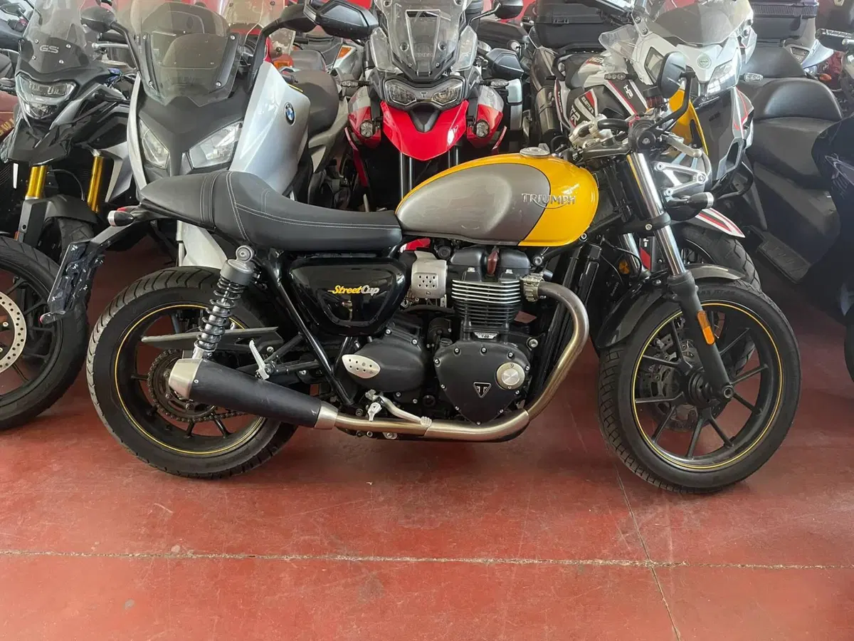 Triumph Street Cup 900 (2017 - 19)