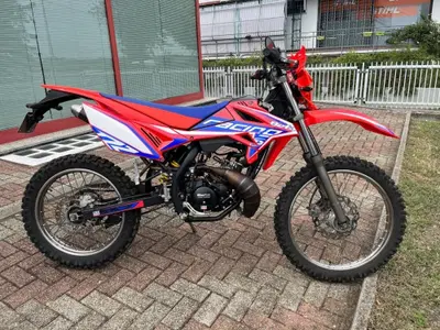 Betamotor RR 50 Enduro (2018 - 20) usata