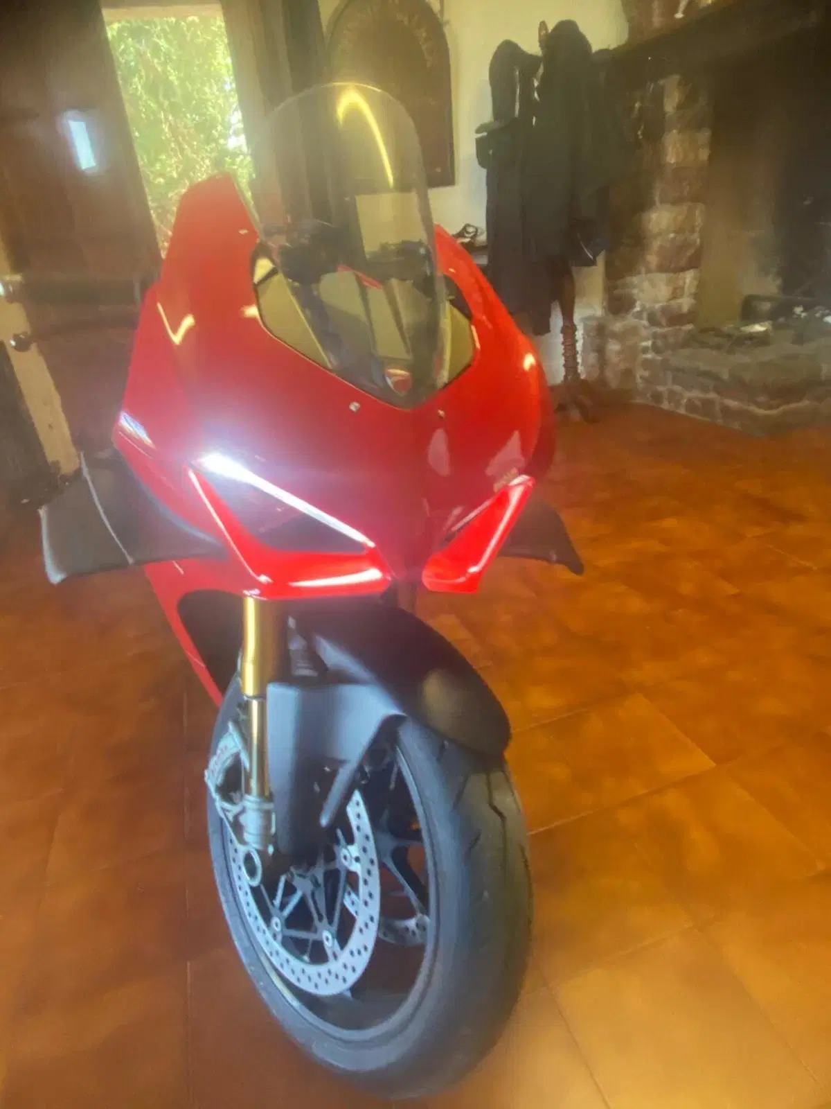 Ducati Panigale V4 S 1100 (2021) (15)