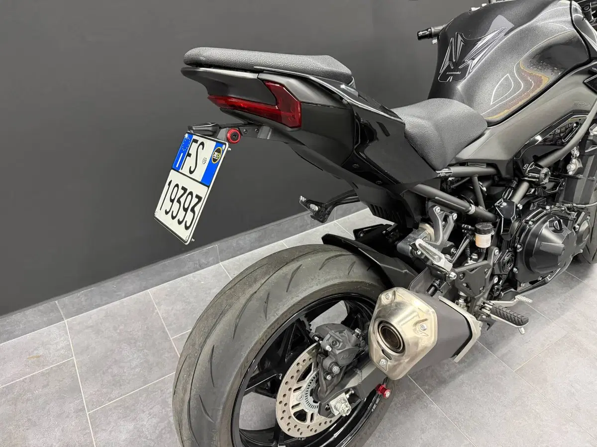Kawasaki Z 900 (2025 - 26) (6)