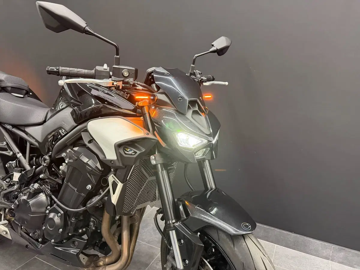 Kawasaki Z 900 (2025 - 26) (7)