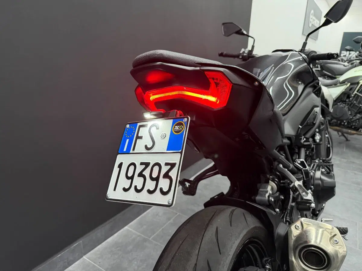 Kawasaki Z 900 (2025 - 26) (8)