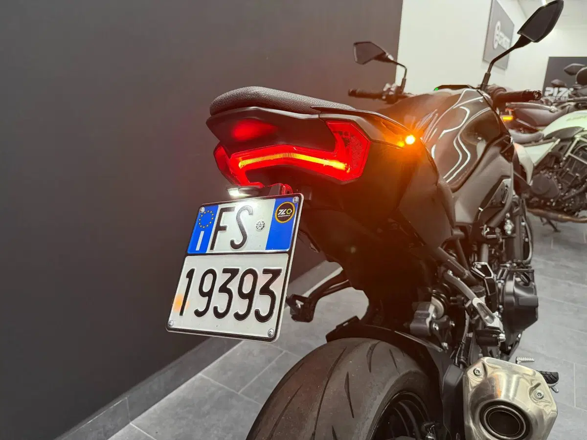 Kawasaki Z 900 (2025 - 26) (9)