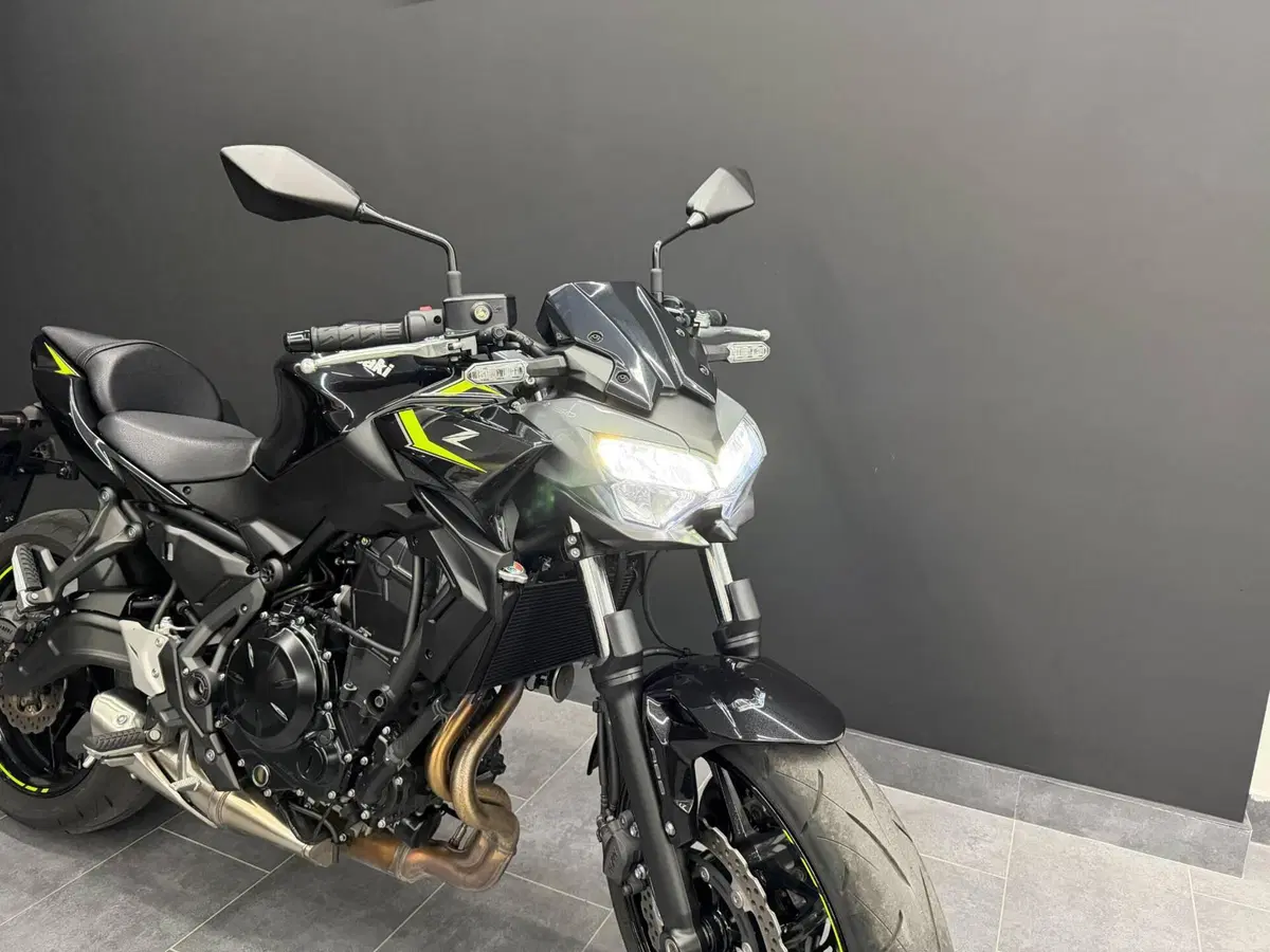 Kawasaki Z 650 (2021 - 24) (2)