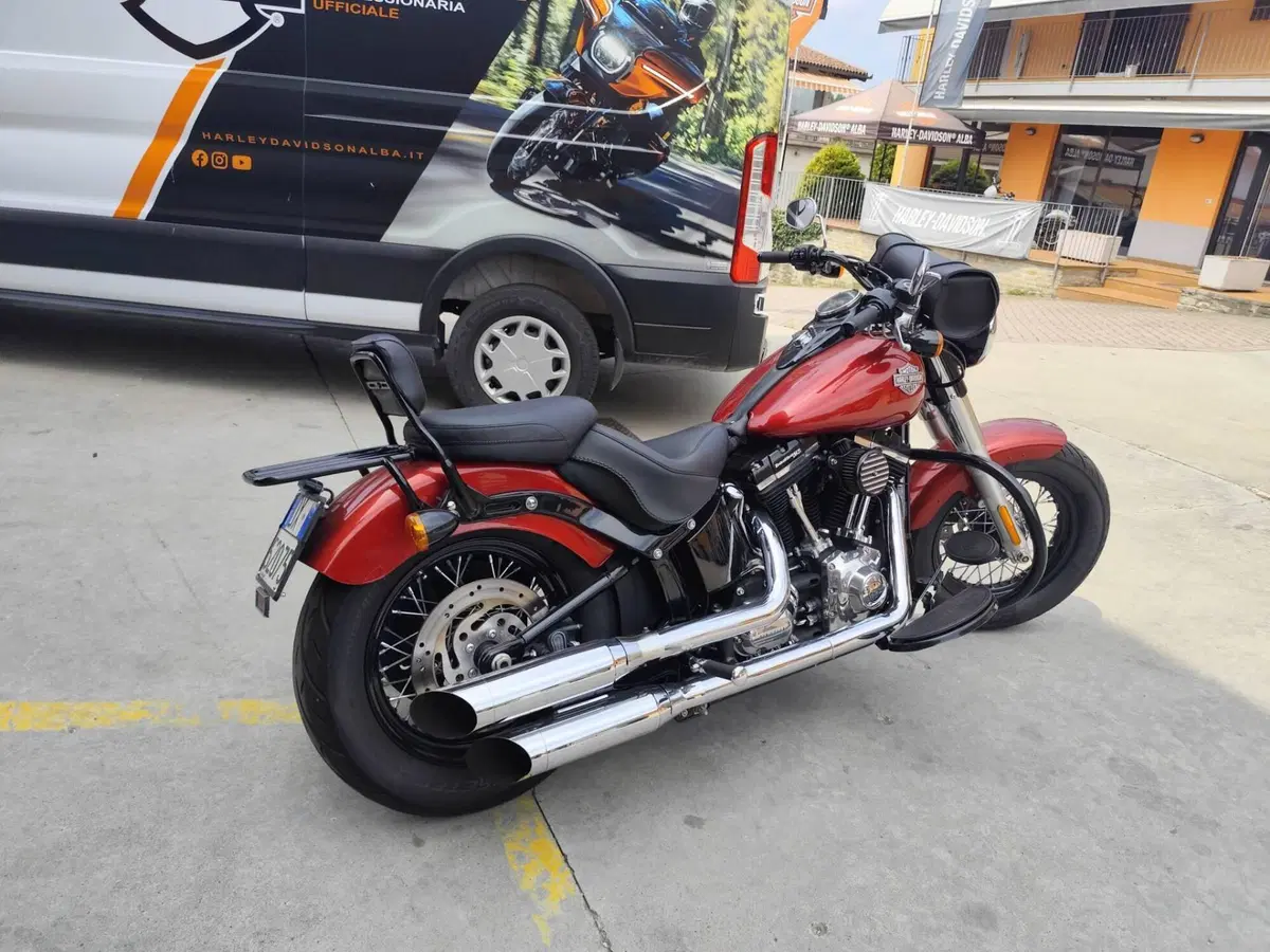 Harley-Davidson 1690 Slim (2011 - 16) - FLS (2)