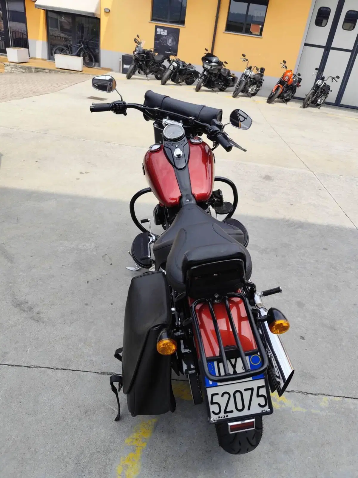 Harley-Davidson 1690 Slim (2011 - 16) - FLS (4)