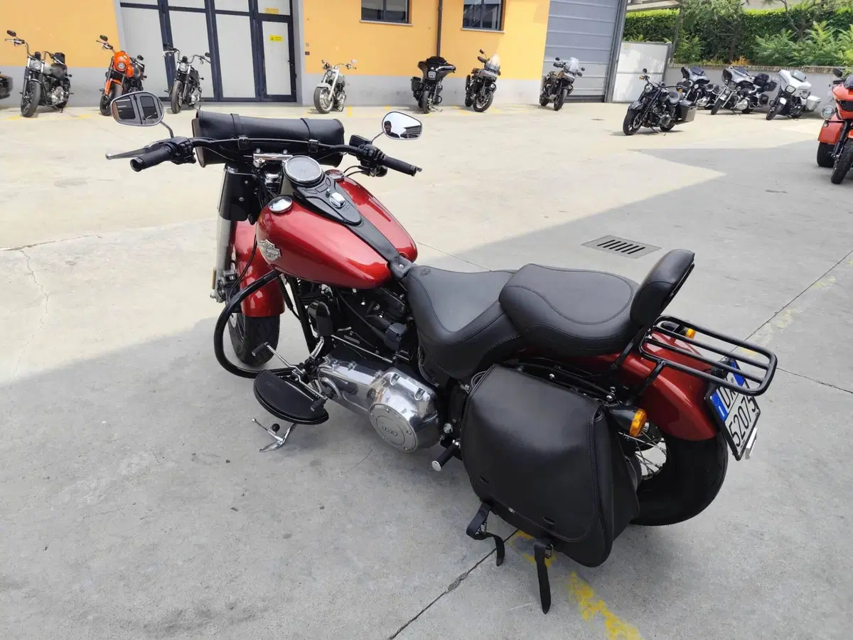 Harley-Davidson 1690 Slim (2011 - 16) - FLS (5)