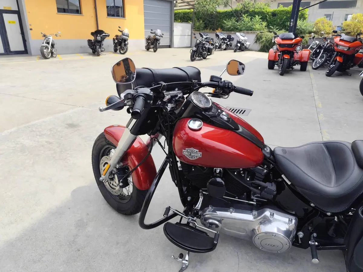 Harley-Davidson 1690 Slim (2011 - 16) - FLS (6)