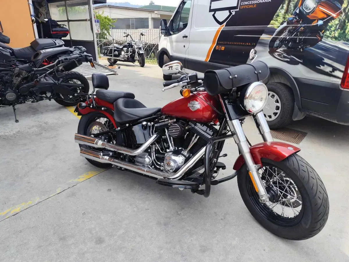 Harley-Davidson 1690 Slim (2011 - 16) - FLS (8)