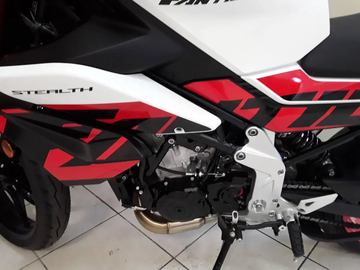 Fantic Motor Stealth 500 (2025 - 26) (3)