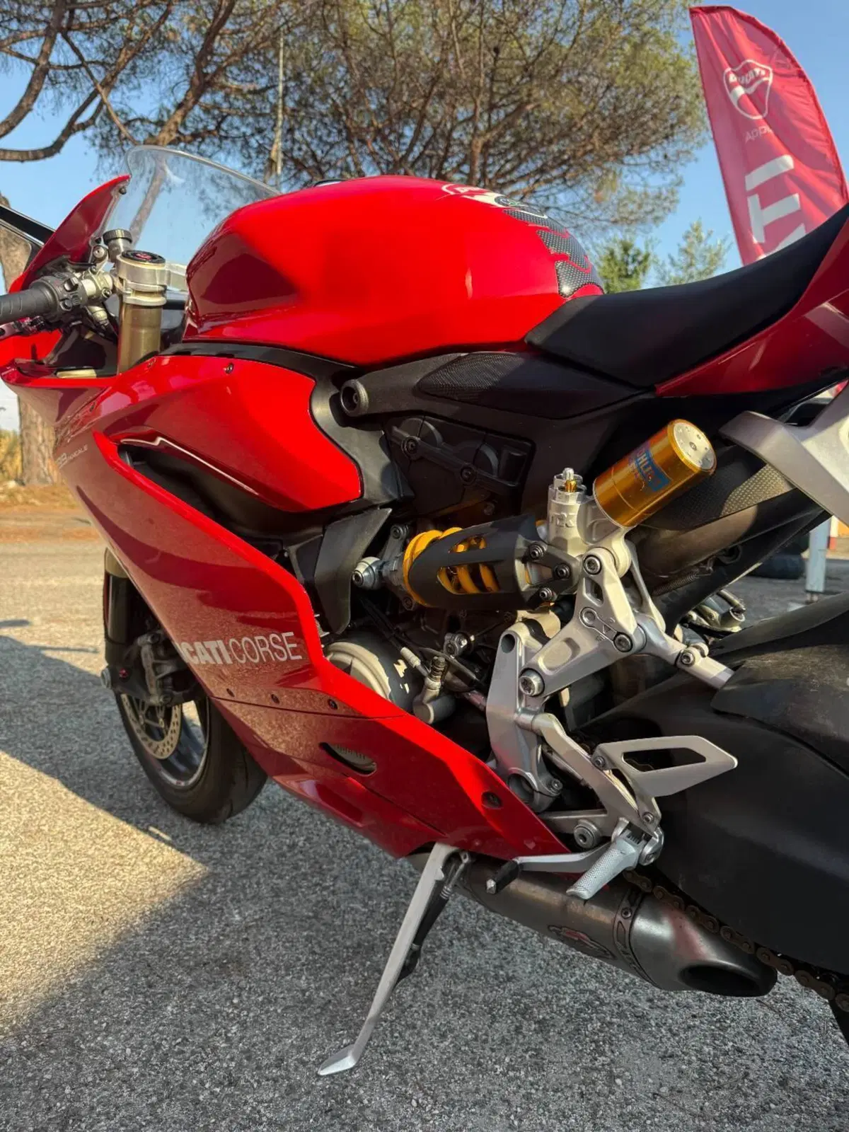 Ducati 1299 Panigale (2015 - 17) (8)
