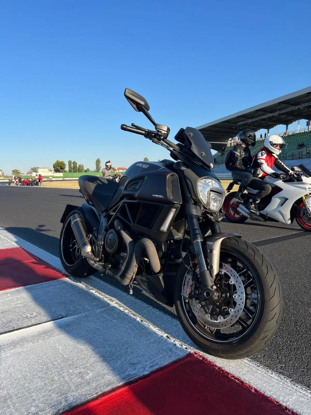 Ducati Diavel 1200 Carbon (2014 - 16) (3)