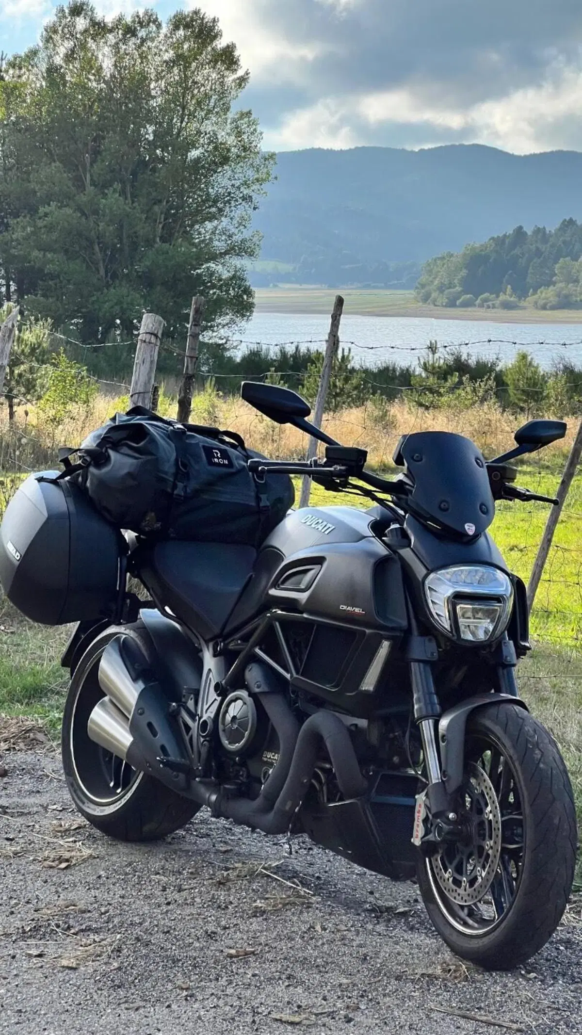 Ducati Diavel 1200 Carbon (2014 - 16) (5)
