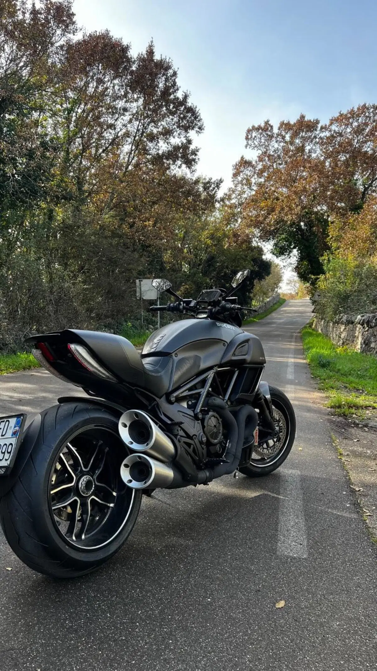 Ducati Diavel 1200 Carbon (2014 - 16) (4)
