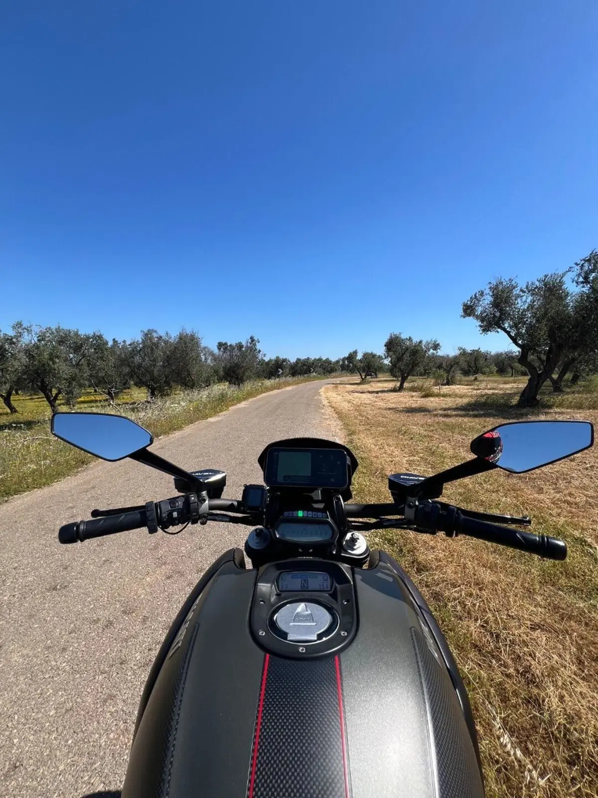 Ducati Diavel 1200 Carbon (2014 - 16) (10)