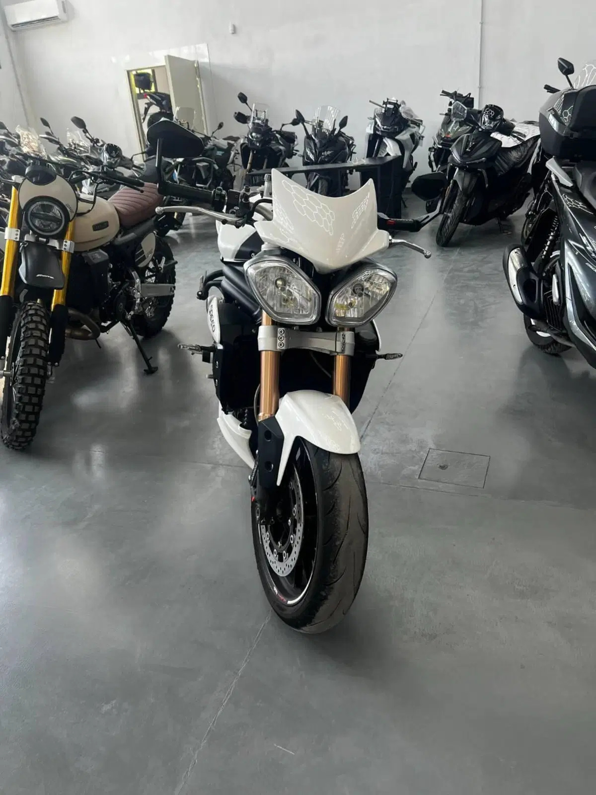 Triumph Speed Triple 1050 (2011 - 13) (2)