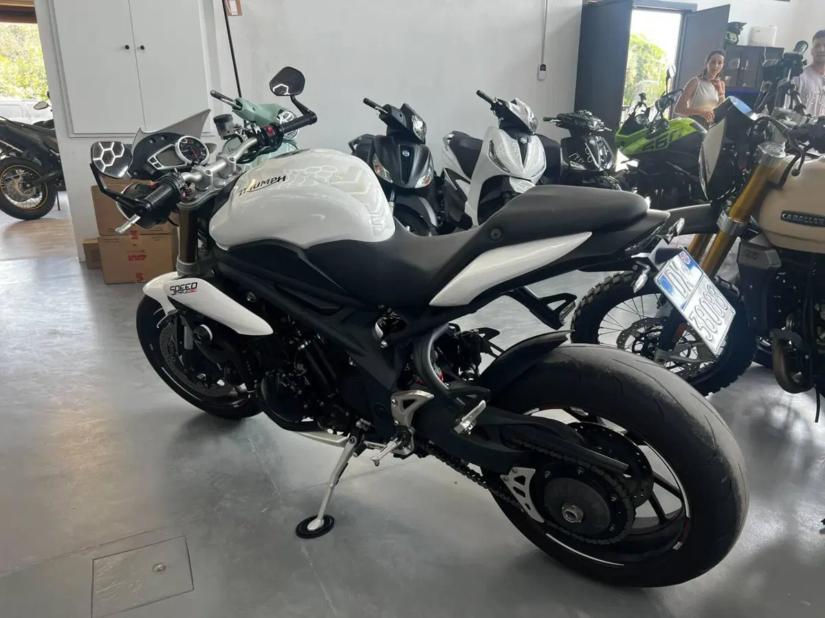 Triumph Speed Triple 1050 (2011 - 13) (3)