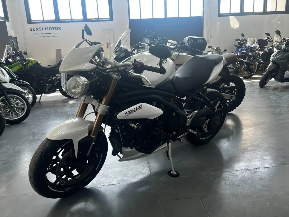 Triumph Speed Triple 1050 (2011 - 13) (4)