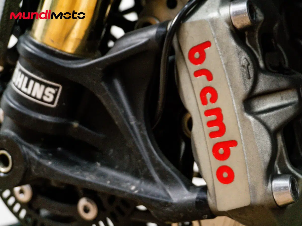 Triumph Speed Triple 1050 RS (2018 - 20) (19)