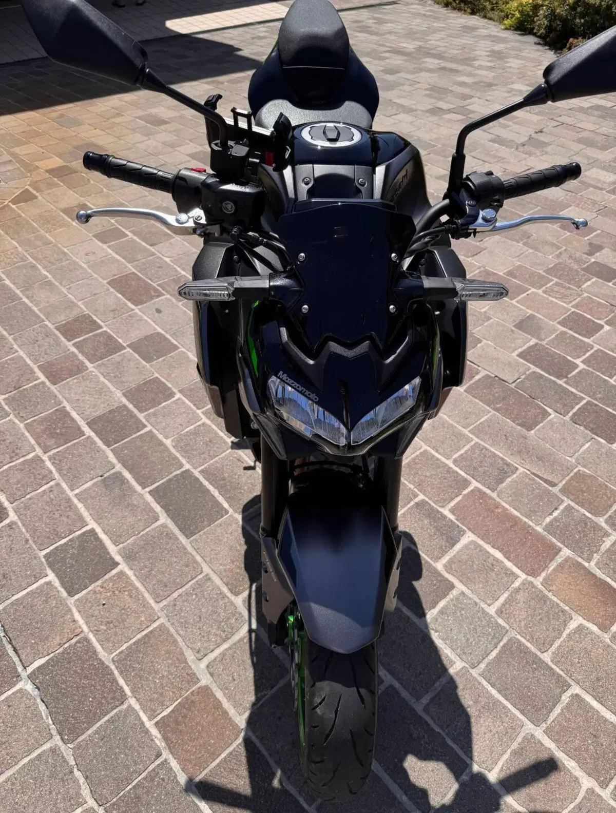 Kawasaki Z 900 (2021 - 24)