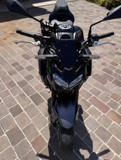 Kawasaki Z 900 (2021 - 24) usata