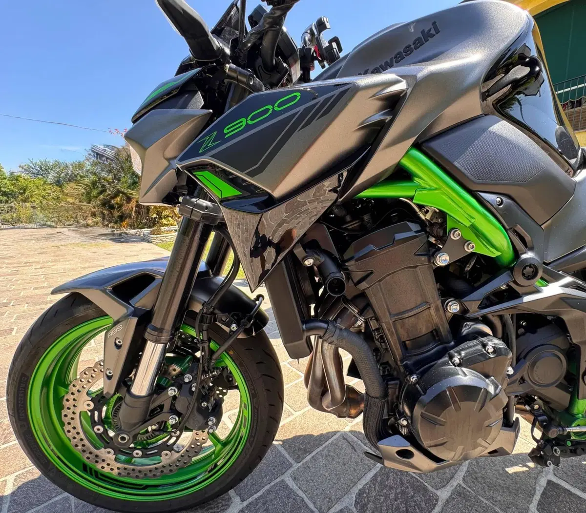 Kawasaki Z 900 (2021 - 24) (13)