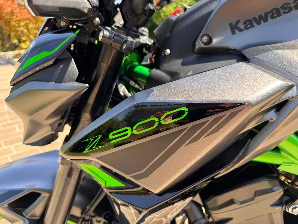 Kawasaki Z 900 (2021 - 24) (14)