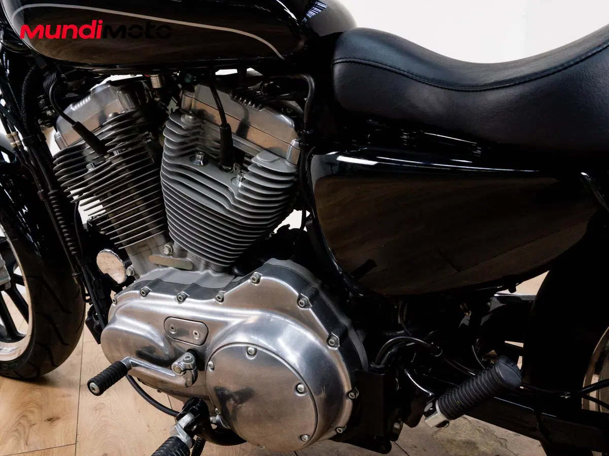 Harley-Davidson 883 Standard (2001 - 05) - XL 883 (10)