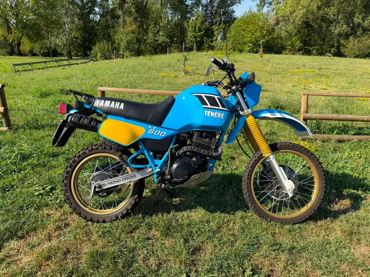 Yamaha Tenerè XT600Z 34L (13)