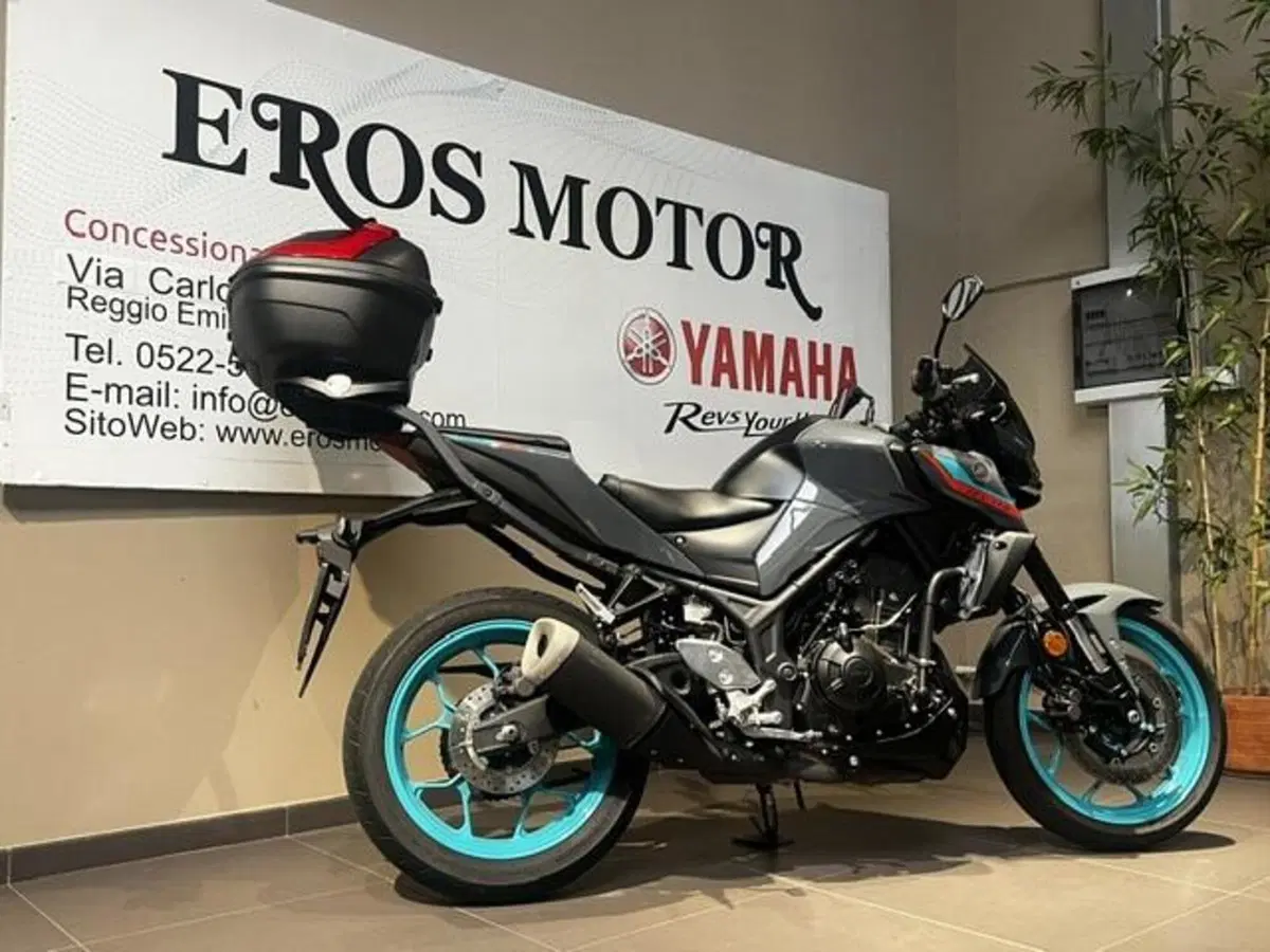 Yamaha MT-03 (2022 - 24) (4)