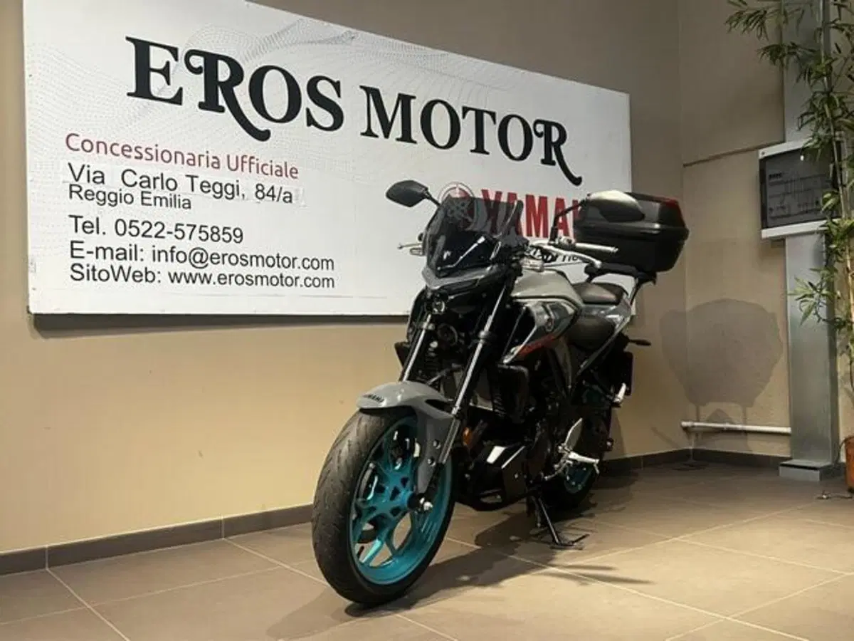 Yamaha MT-03 (2022 - 24) (5)
