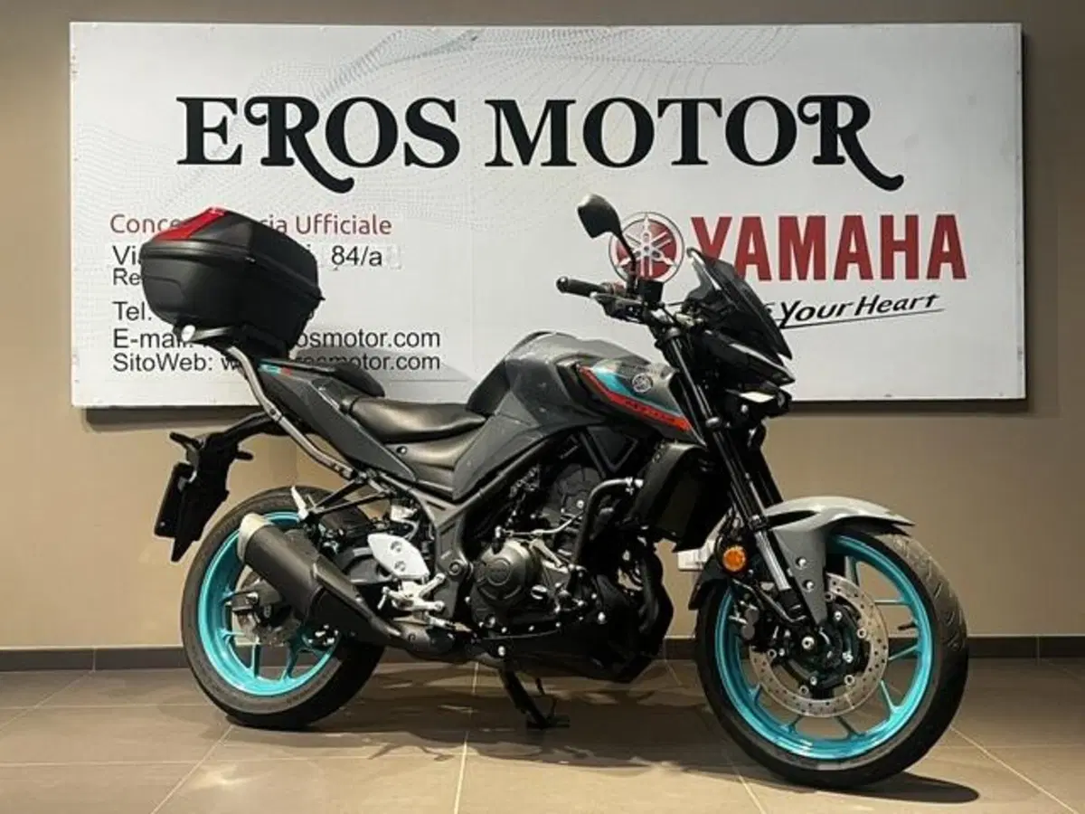 Yamaha MT-03 (2022 - 24)