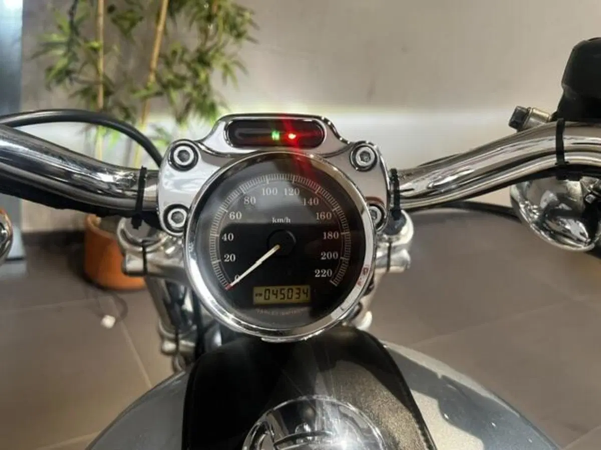 Harley-Davidson 1200 Custom (2007 - 13) - XL 1200C (3)