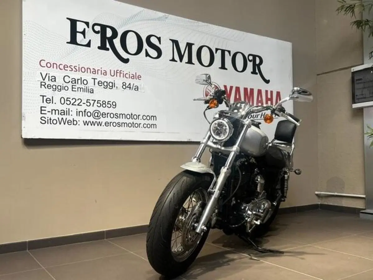 Harley-Davidson 1200 Custom (2007 - 13) - XL 1200C (5)