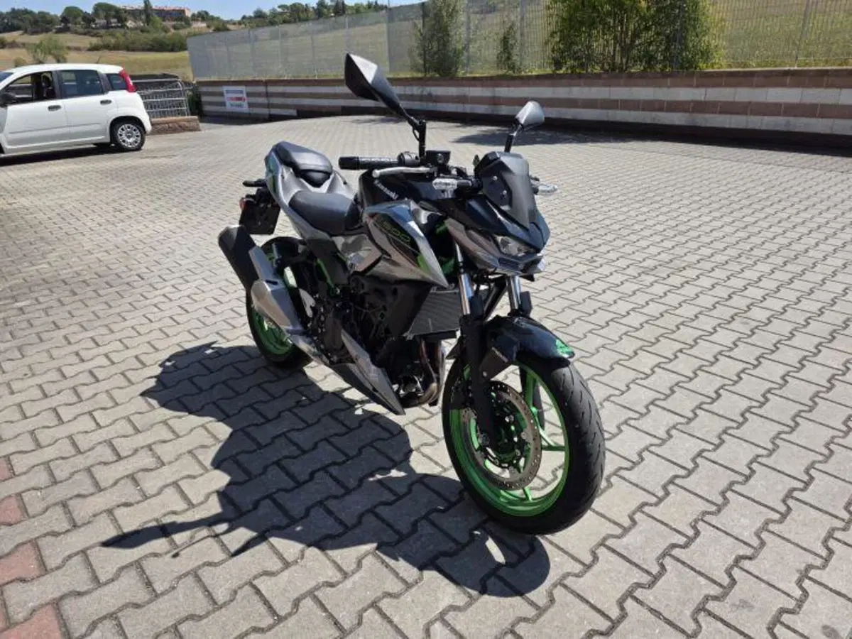 Kawasaki Z 500 SE (2024 - 26) (2)