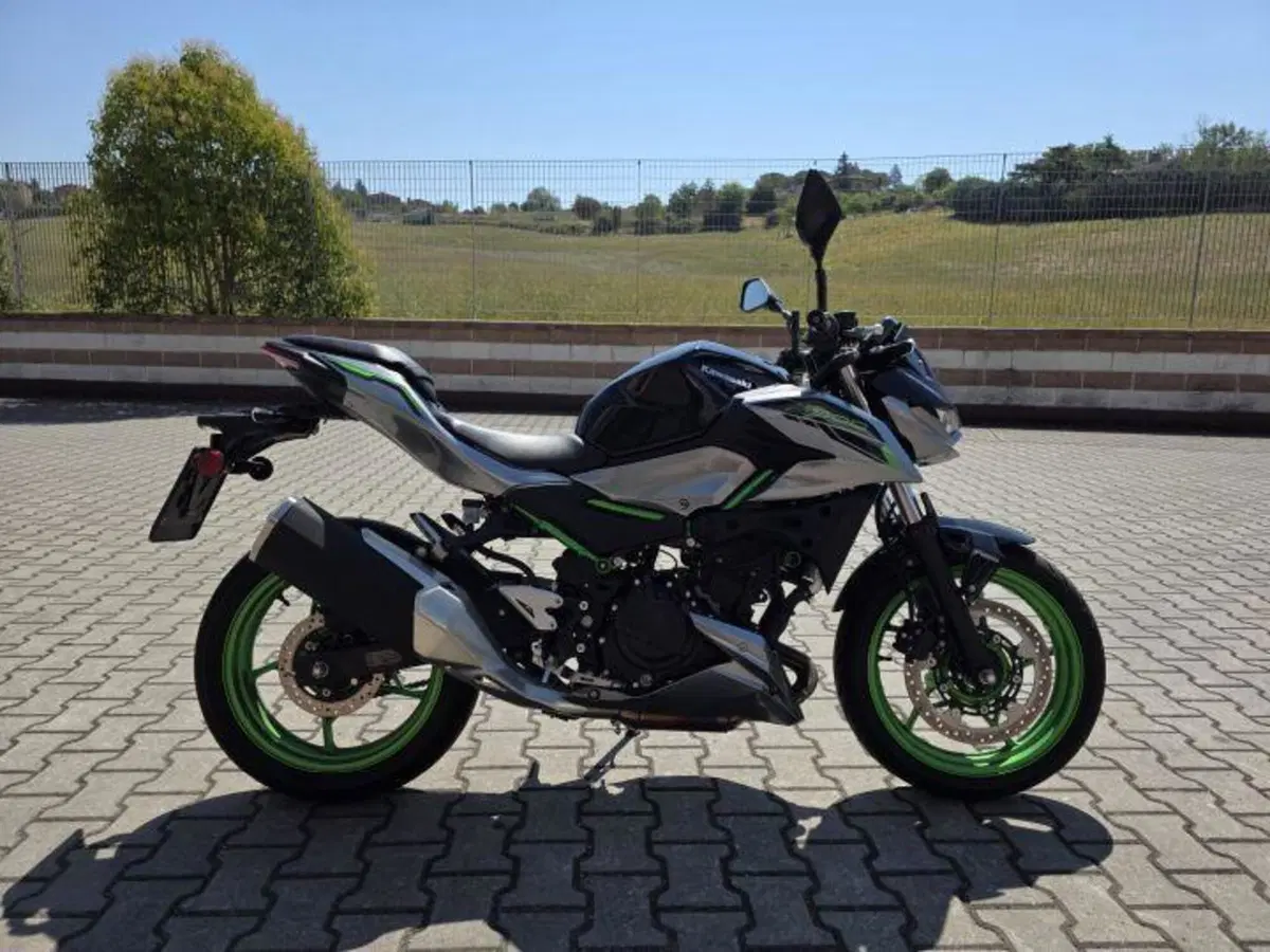 Kawasaki Z 500 SE (2024 - 26) (4)