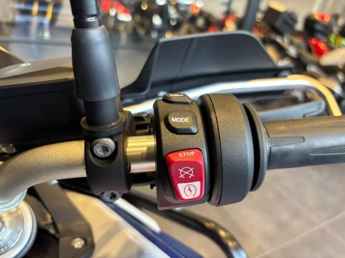 Bmw F 900 GS (2024 - 26) (8)