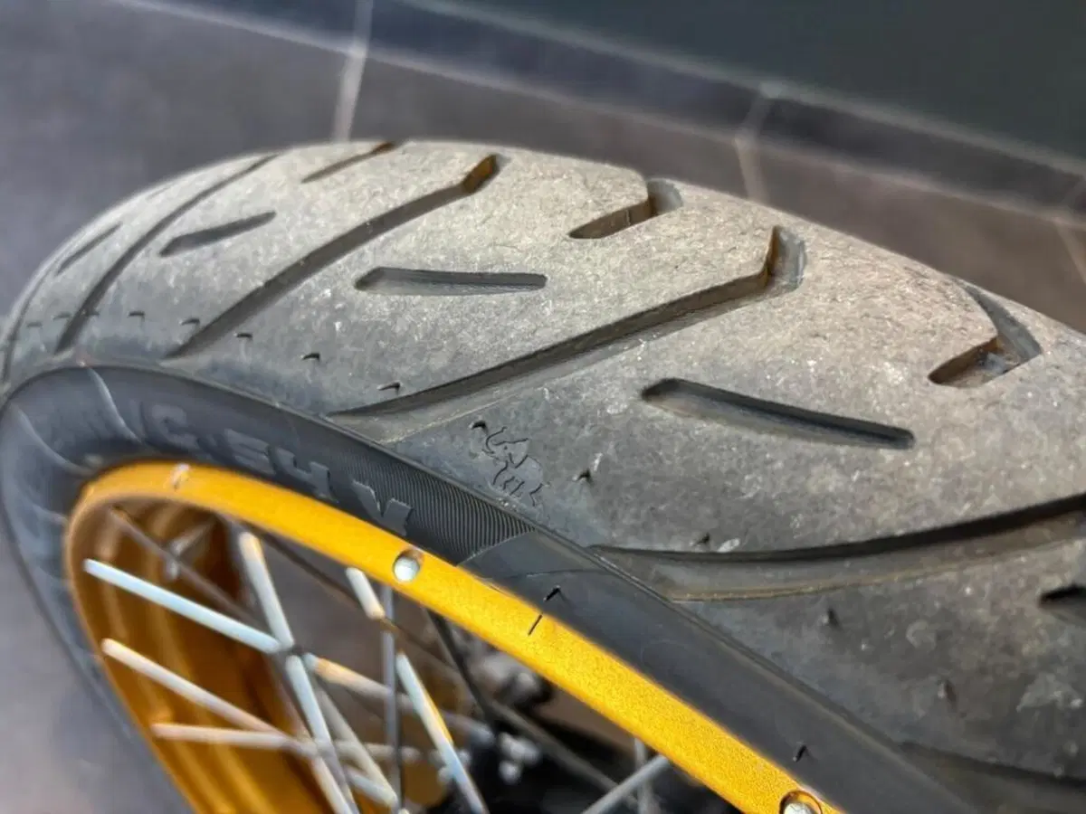 Bmw F 900 GS (2024 - 26) (15)