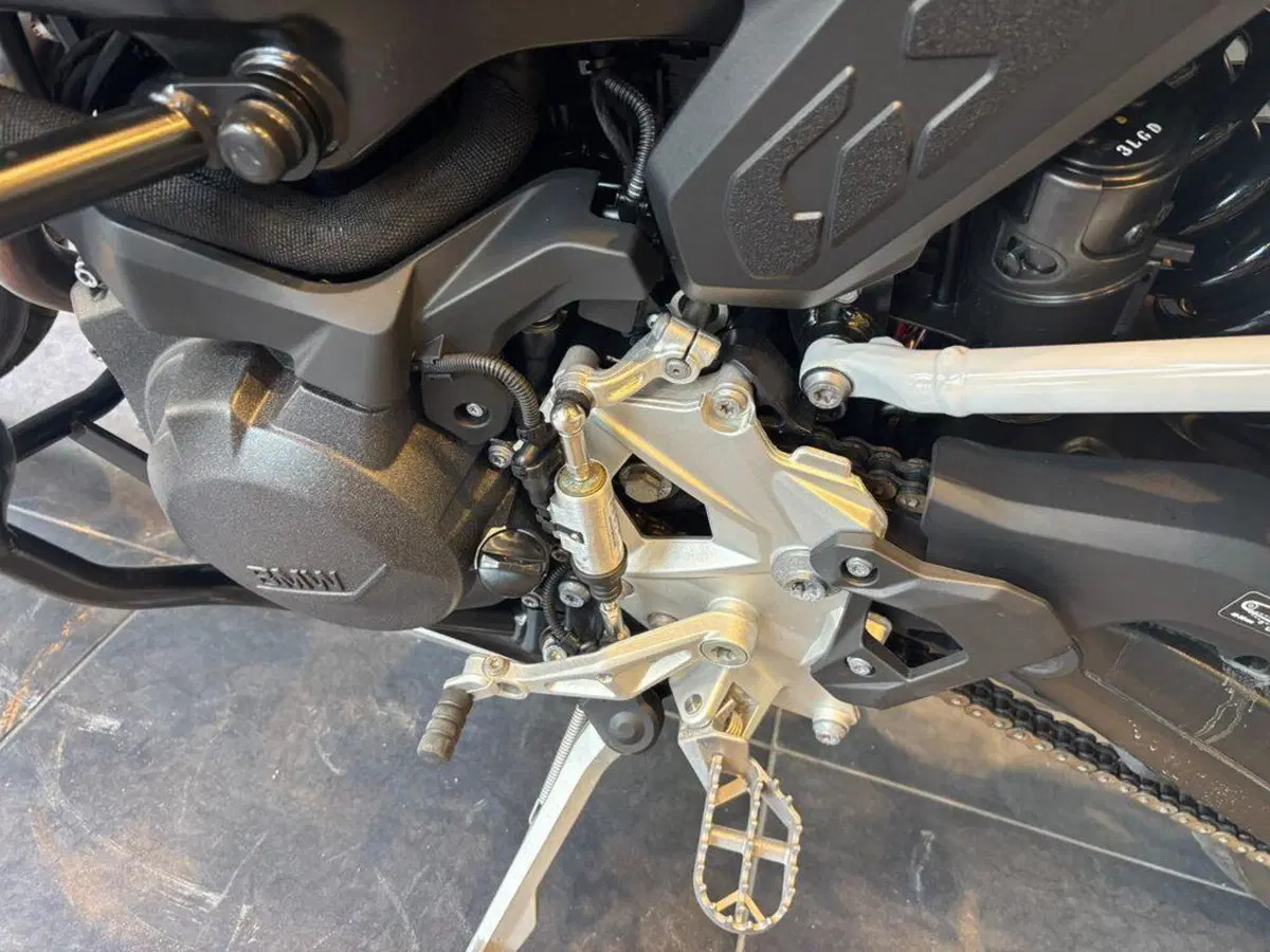 Bmw F 900 GS (2024 - 26) (12)