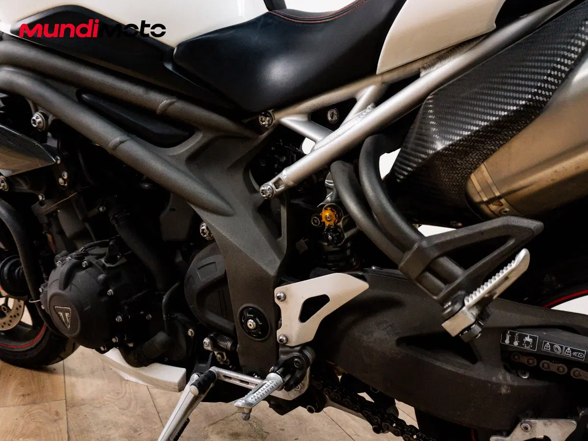 Triumph Speed Triple 1050 RS (2018 - 20) (10)