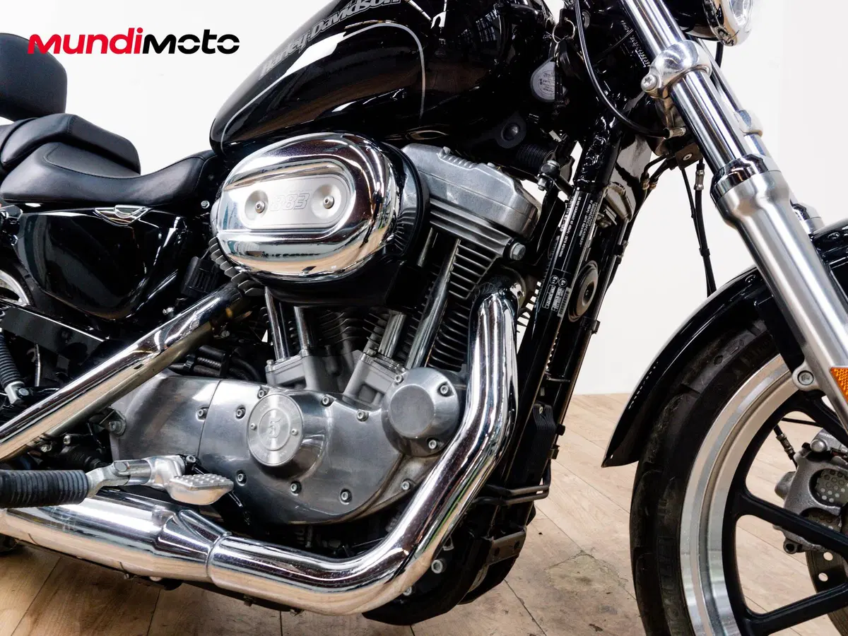 Harley-Davidson 883 Standard (2001 - 05) - XL 883 (5)